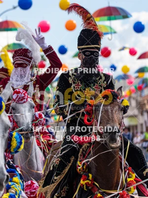 Detalhes da foto #72057