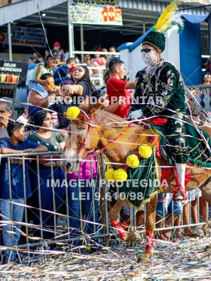 Detalhes da foto #74688