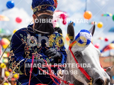 Detalhes da foto #24658