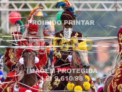 Detalhes da foto #87307