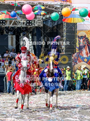 Detalhes da foto #37840