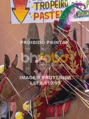 Detalhes da foto #42388