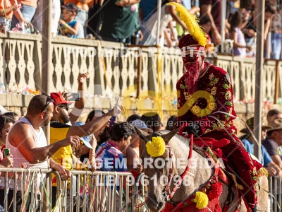 Detalhes da foto #61511