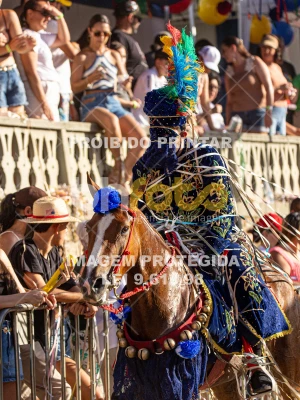 Detalhes da foto #70386