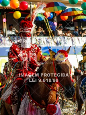 Detalhes da foto #72297