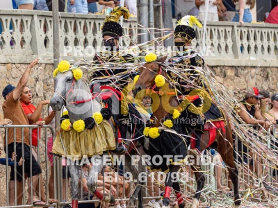 Detalhes da foto #15188