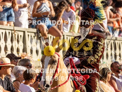 Detalhes da foto #81871