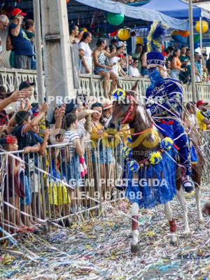 Detalhes da foto #71018