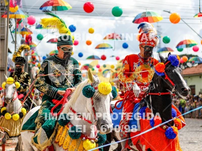 Detalhes da foto #41522