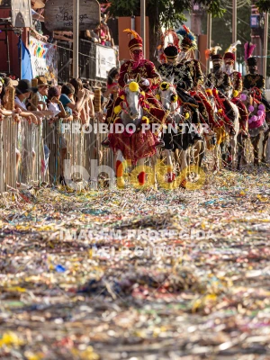 Detalhes da foto #73961