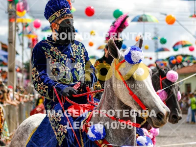 Detalhes da foto #81168