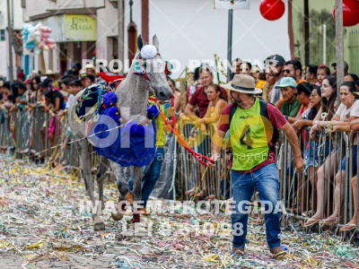 Detalhes da foto #73617