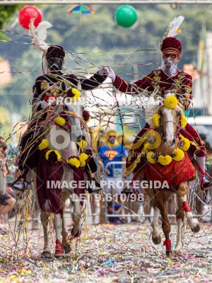 Detalhes da foto #58304