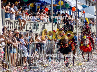 Detalhes da foto #19427