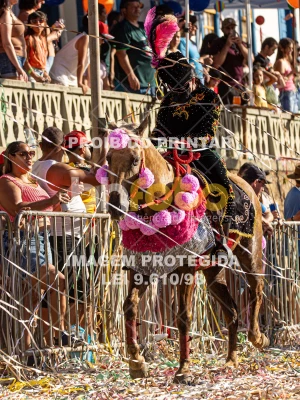 Detalhes da foto #79709