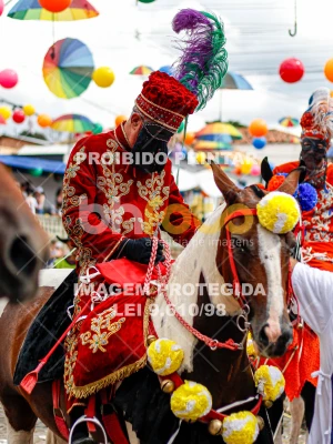 Detalhes da foto #30979