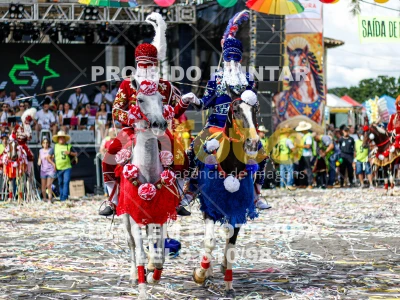 Detalhes da foto #91637