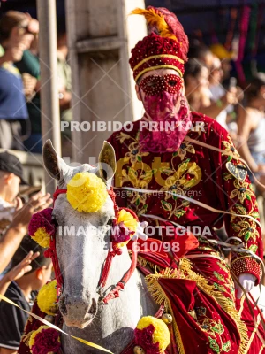 Detalhes da foto #51961