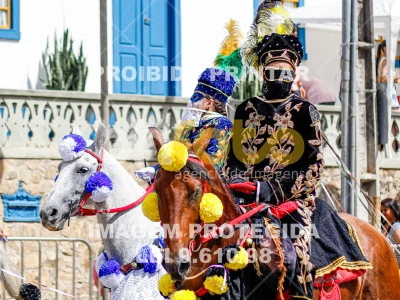 Detalhes da foto #84065