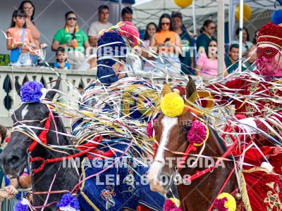 Detalhes da foto #43506