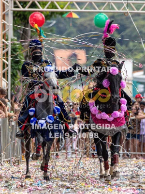 Detalhes da foto #53062