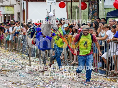 Detalhes da foto #29924