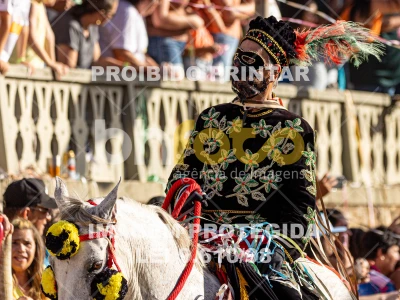 Detalhes da foto #14835