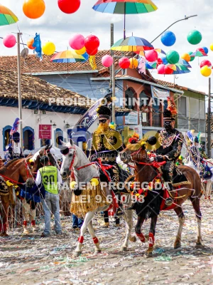 Detalhes da foto #51389