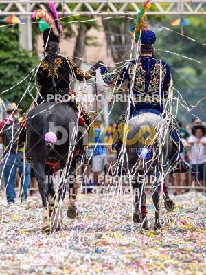 Detalhes da foto #49218