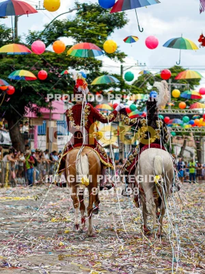 Detalhes da foto #88696