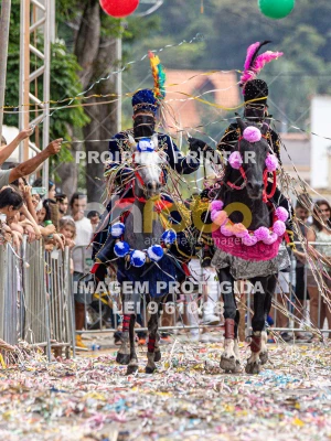 Detalhes da foto #60338