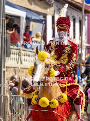 Detalhes da foto #27264