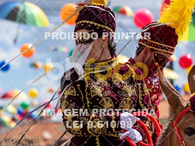 Detalhes da foto #85119