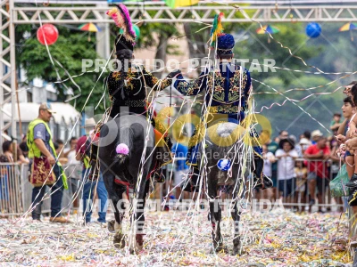 Detalhes da foto #79816