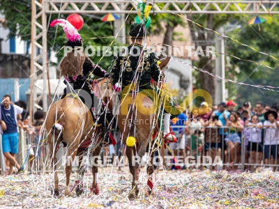 Detalhes da foto #82085