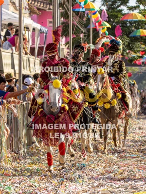 Detalhes da foto #21145