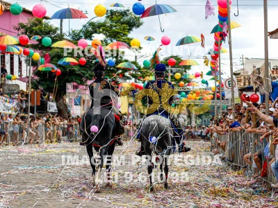 Detalhes da foto #22028