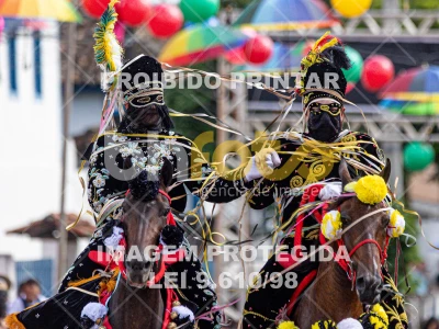 Detalhes da foto #93581