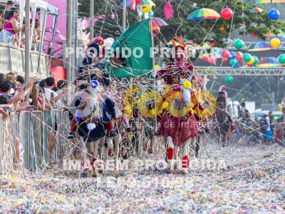 Detalhes da foto #81118