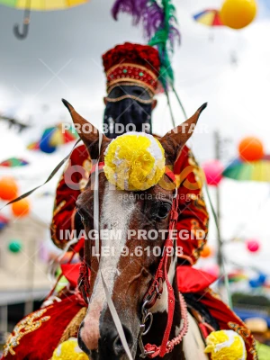 Detalhes da foto #61273