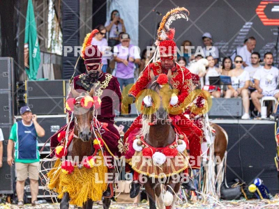 Detalhes da foto #50395