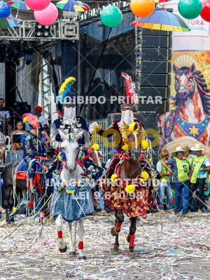 Detalhes da foto #24257