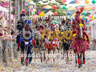 Detalhes da foto #67462