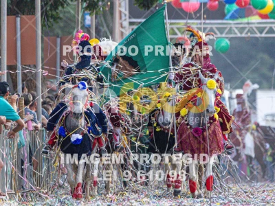 Detalhes da foto #26210