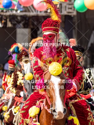 Detalhes da foto #45448