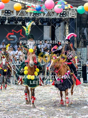 Detalhes da foto #59205