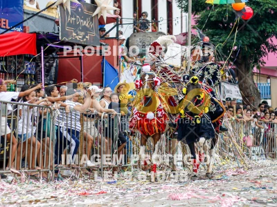 Detalhes da foto #92244