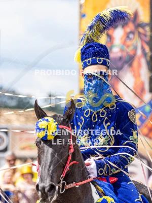 Detalhes da foto #26004