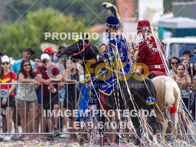 Detalhes da foto #13359