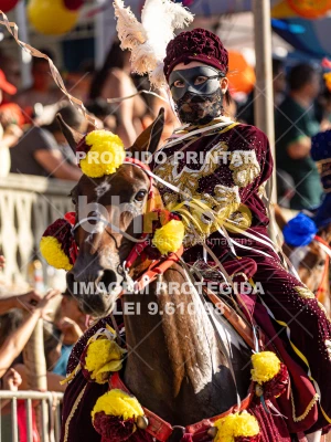 Detalhes da foto #48315